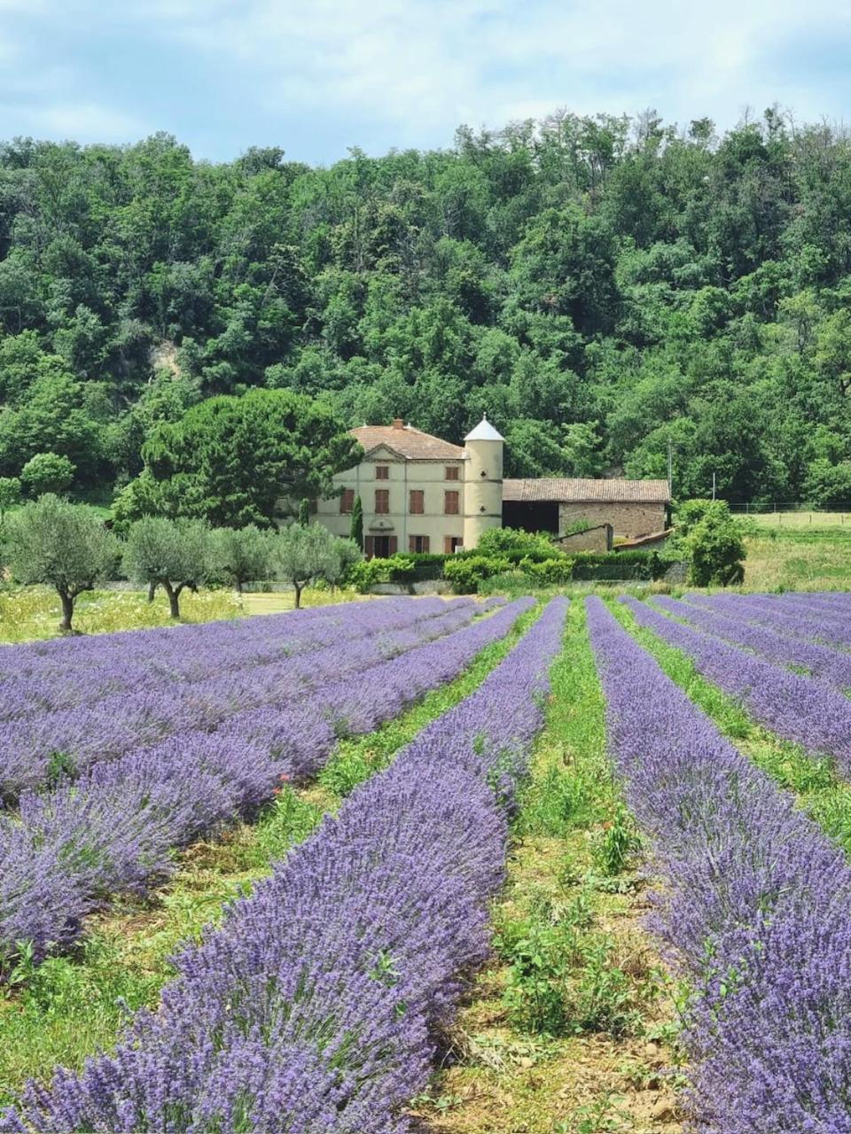 Willa Domaine Des Balmes Romans-sur-Isère Zewnętrze zdjęcie