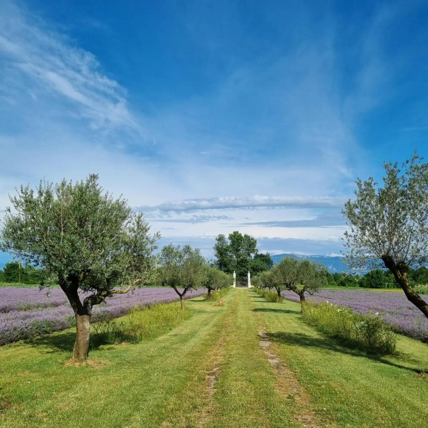 Willa Domaine Des Balmes Romans-sur-Isère Zewnętrze zdjęcie